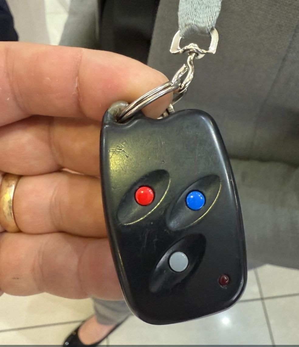 Remote Door Locks